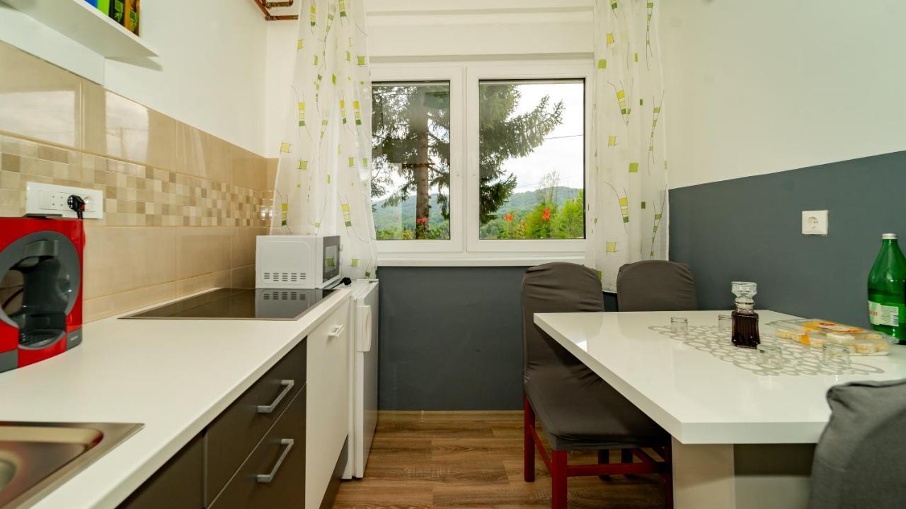 Apartman Gradina Gomirje ภายนอก รูปภาพ